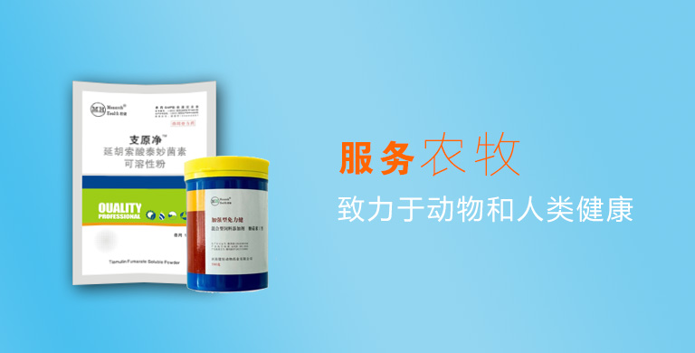 爱游戏官方网站