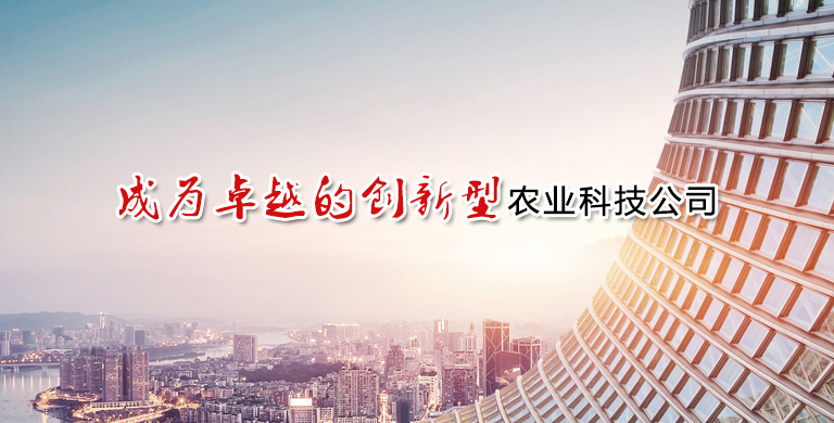 爱游戏体育在线